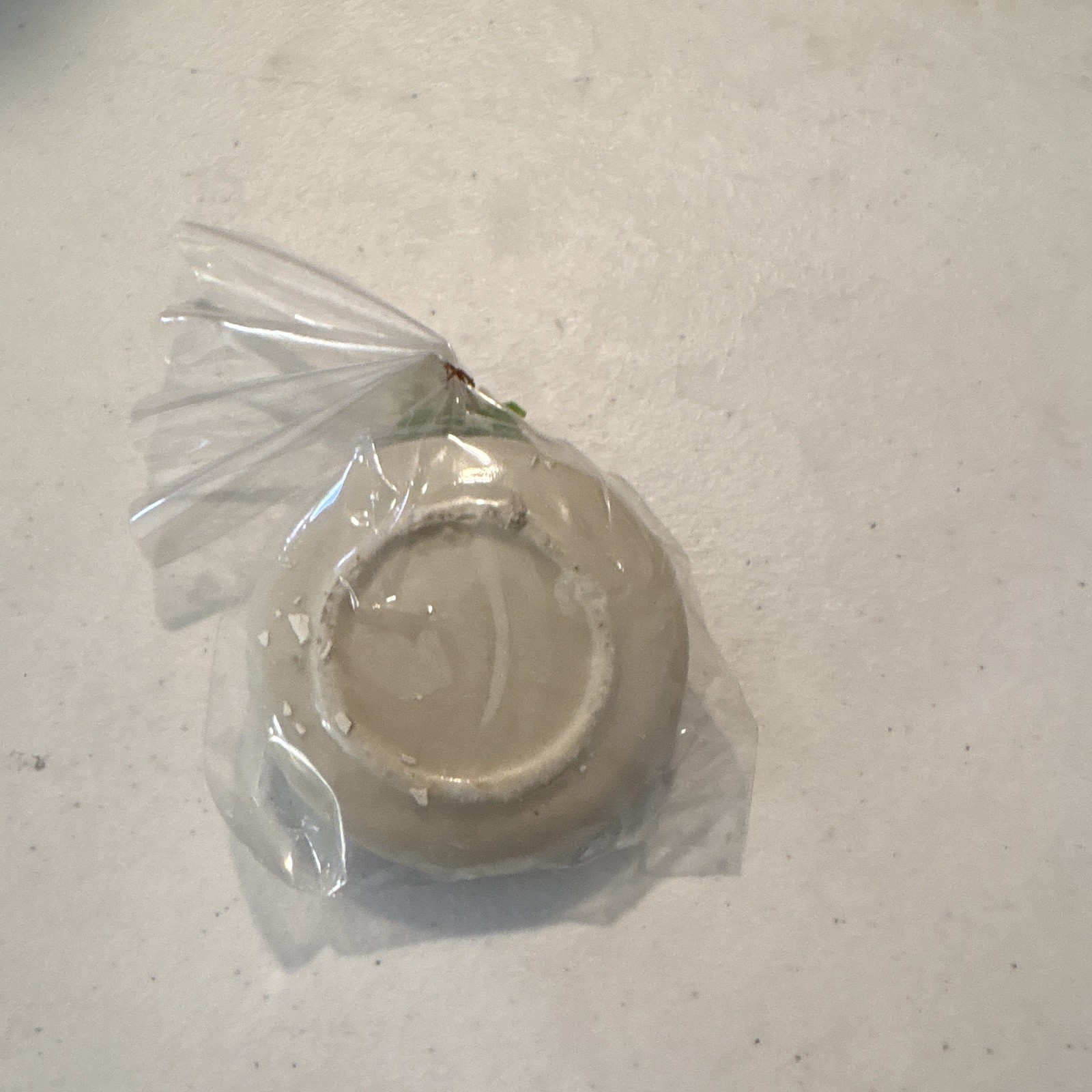 Individually Wrapped Disc Body Soap Bar for Men & Women, Beige/Green
