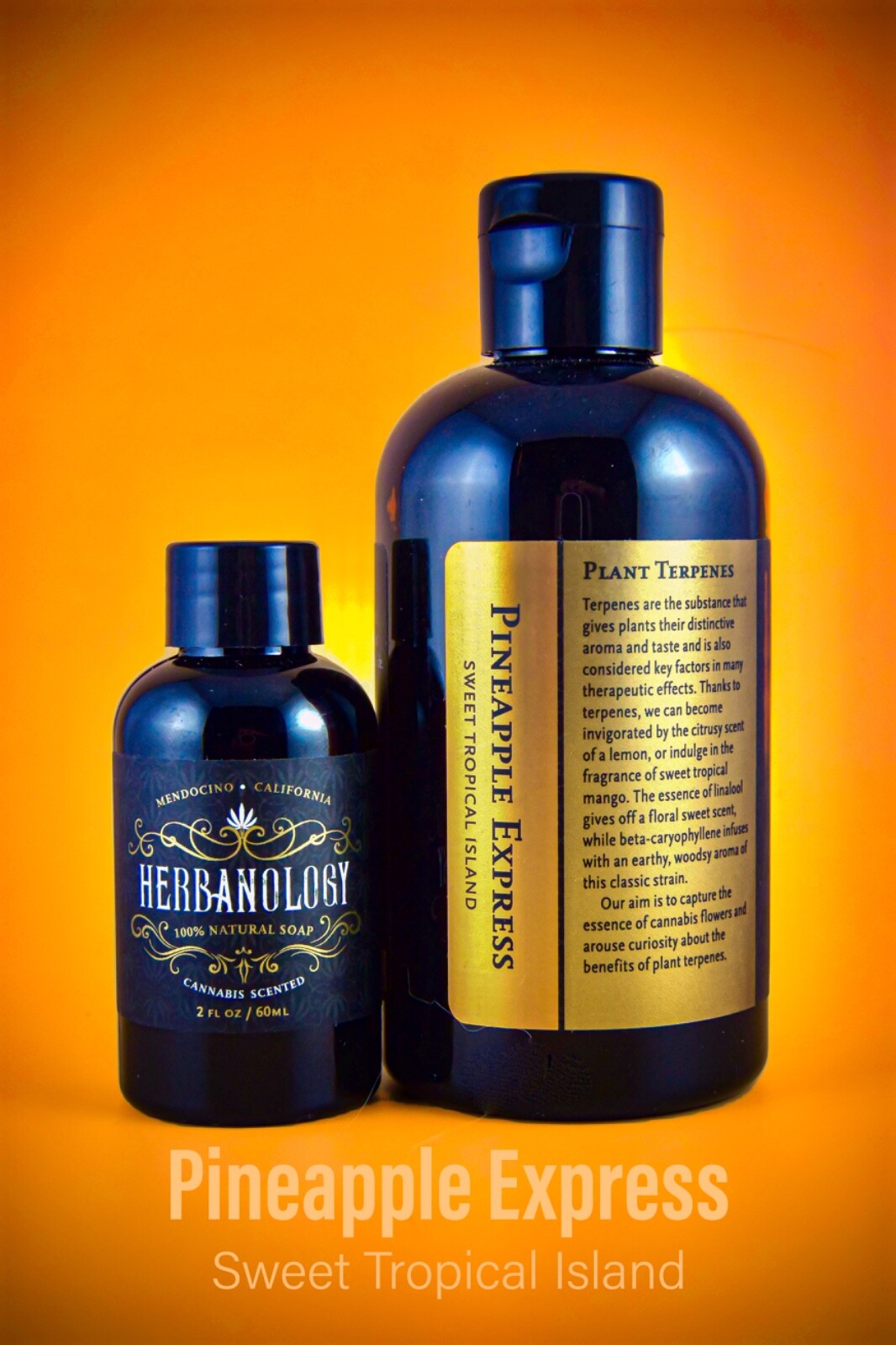 Herbanology 1 Gallon Pineapple Express Organic Liquid Castile All Purpose Soap