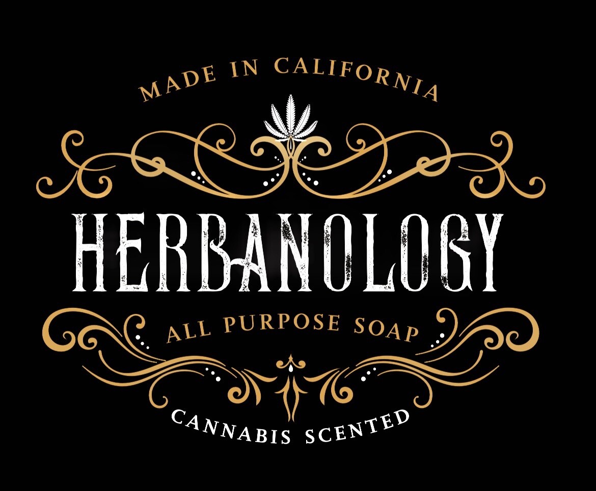 Herbanology 2oz Pineapple Express Organic Liquid Castile All Purpose Soap