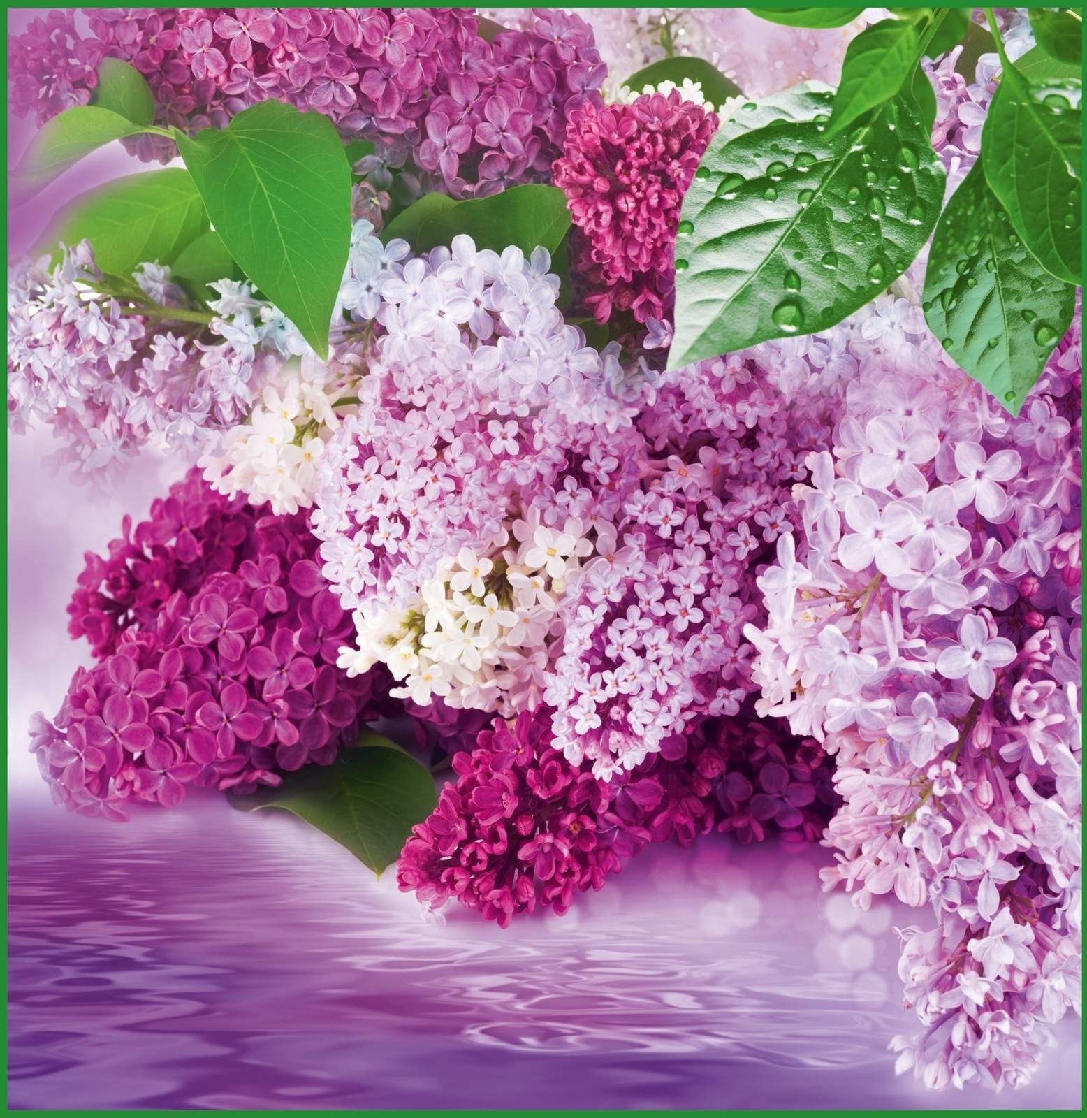 Russian Lilac Scent Soap 4×180 g – Nevskaya Kosmetika – Authentic Bath & Body