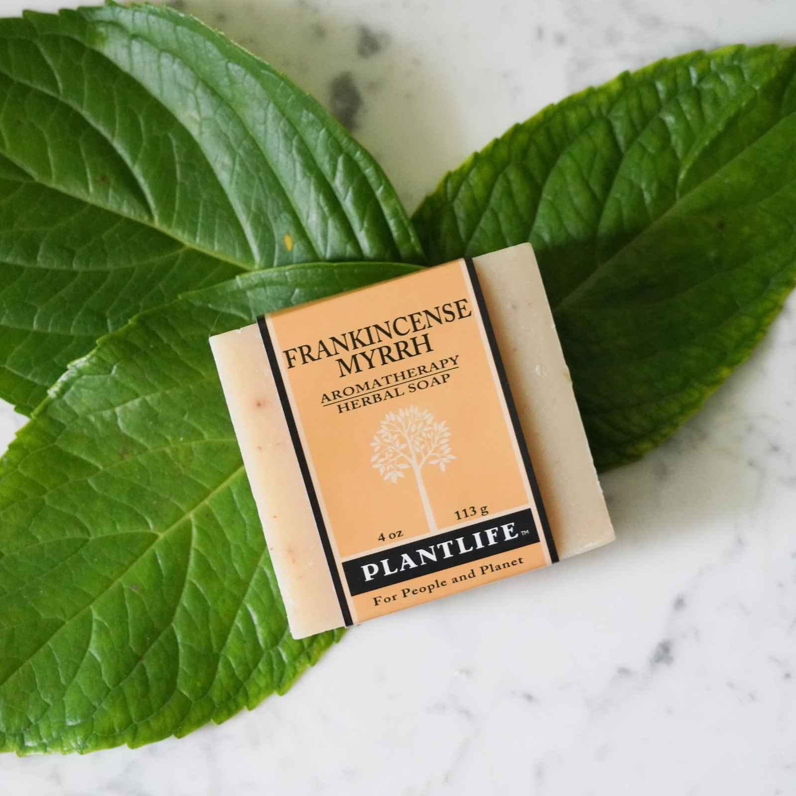 Frankincense and Myrrh Herbal Soap 4 Ounce Natural Plant Based Cleanser