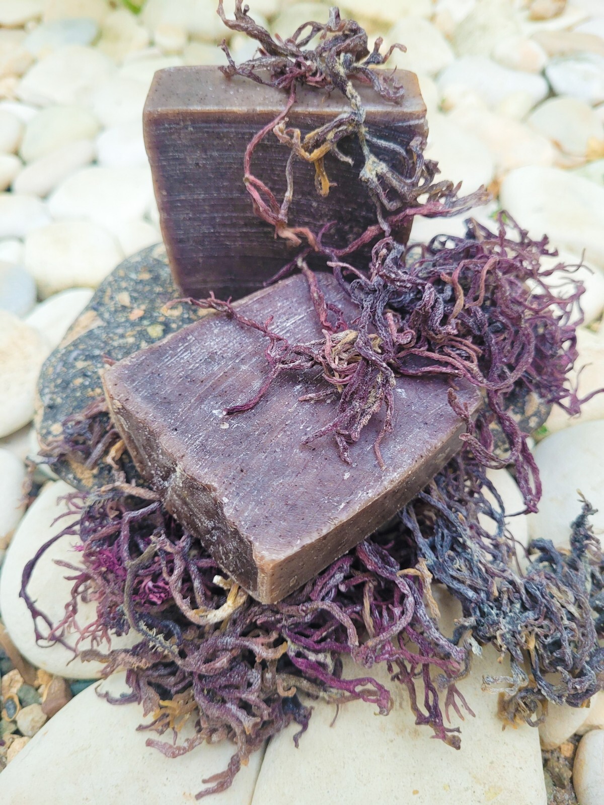 Purple Sea Moss Soap