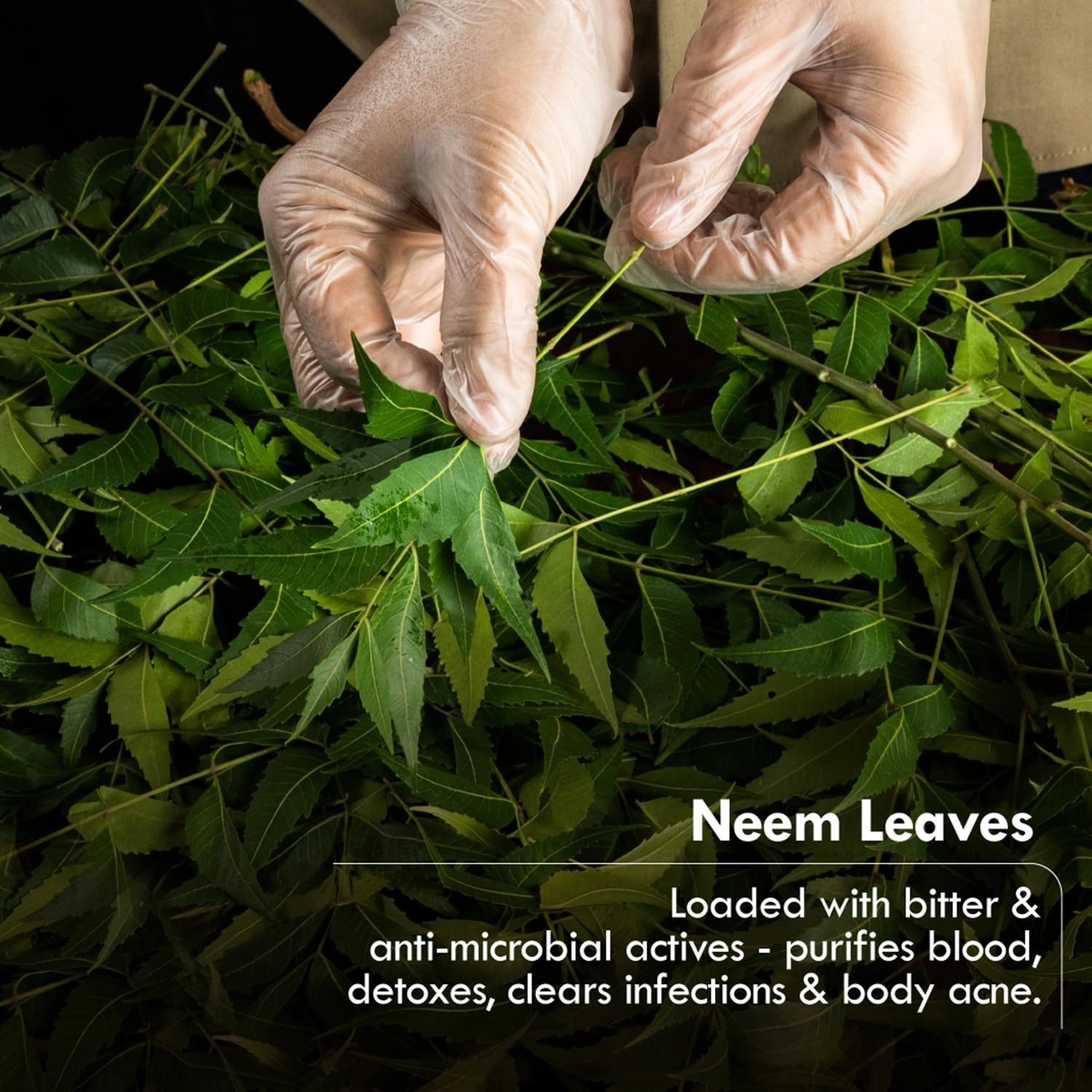 Nat Habit Neem Basil Butter Soap|Cold Processed Ayurvedic Soap with Neem Actives