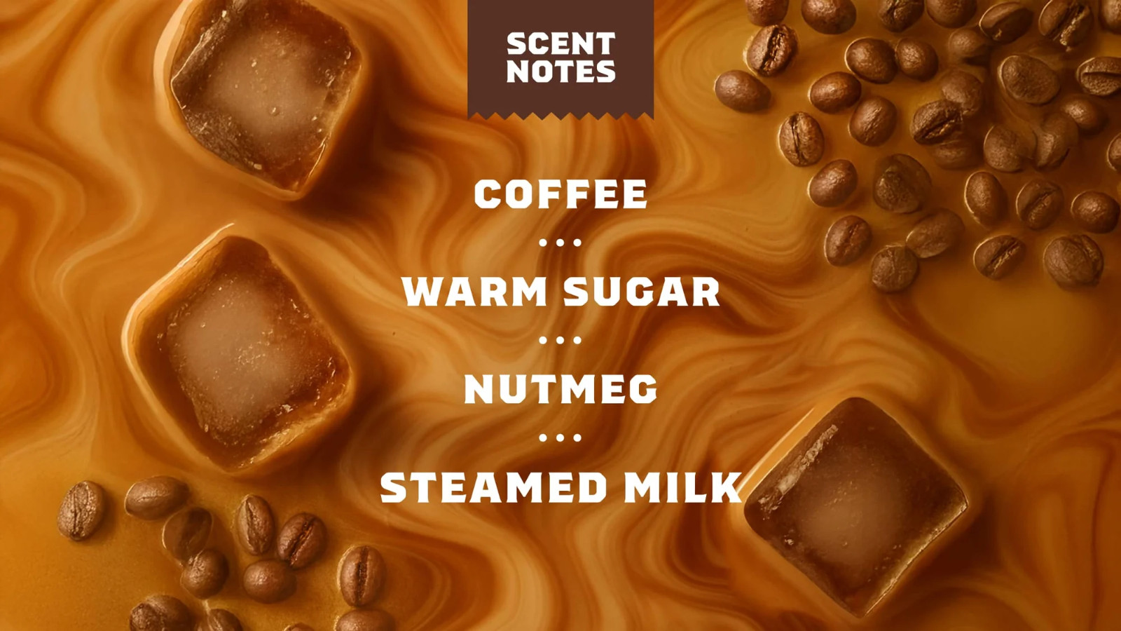 Dr. Squatch Cold Brew Cleanse Coffee Soap Bar | 5 Ounces [ Pack of 3]