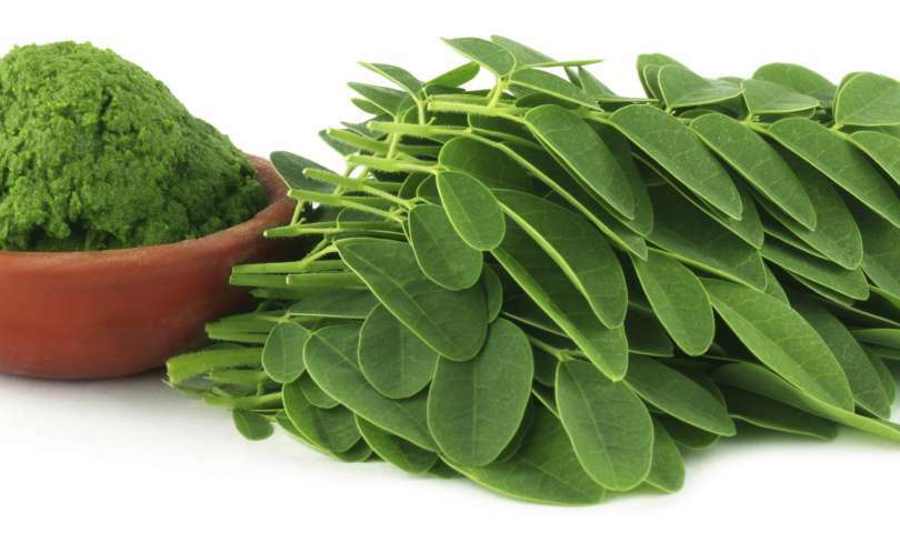 Anti Aging Herb – Super Food – Moringa Oliefera Extract 1200mg – 1 Bottle 60Ct