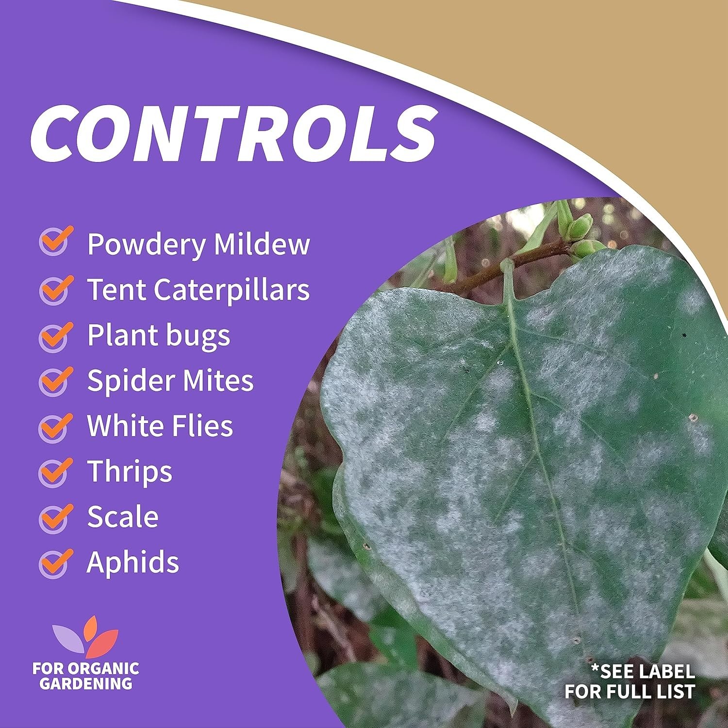Captain Jack’s 32oz Organic Insect Soap Spray – Protect Your Plants Naturally!