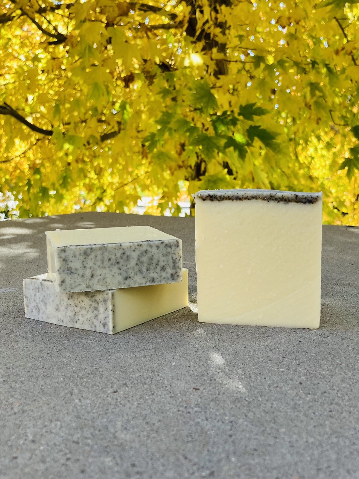 Lemon Sage Castile Soap | 100% Pure Olive Oil Soap Conditioning Bar