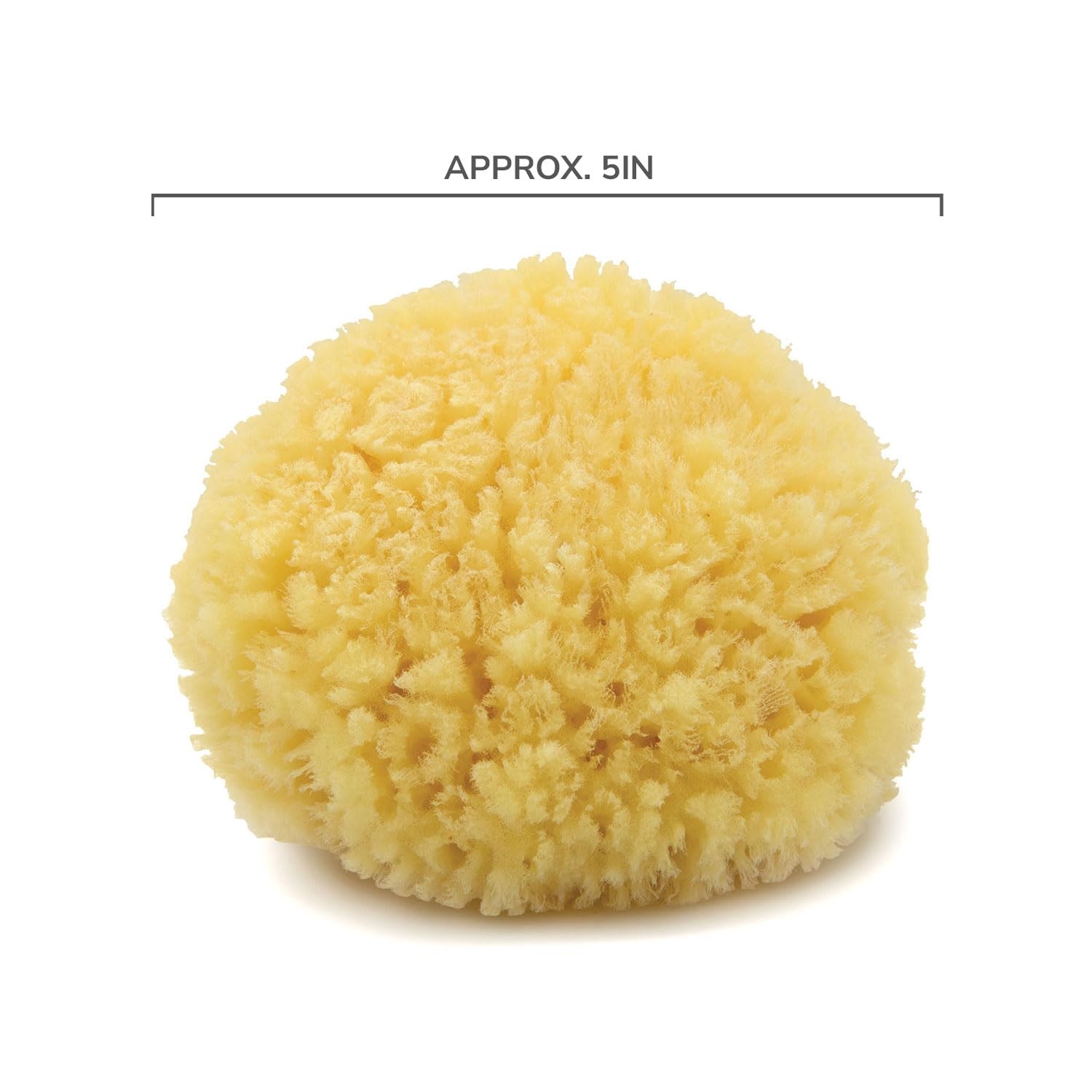 Neptune Caribbean Sea Sponge, Hand Cut, Medium, 1 Count (Pack of 1), Yellow