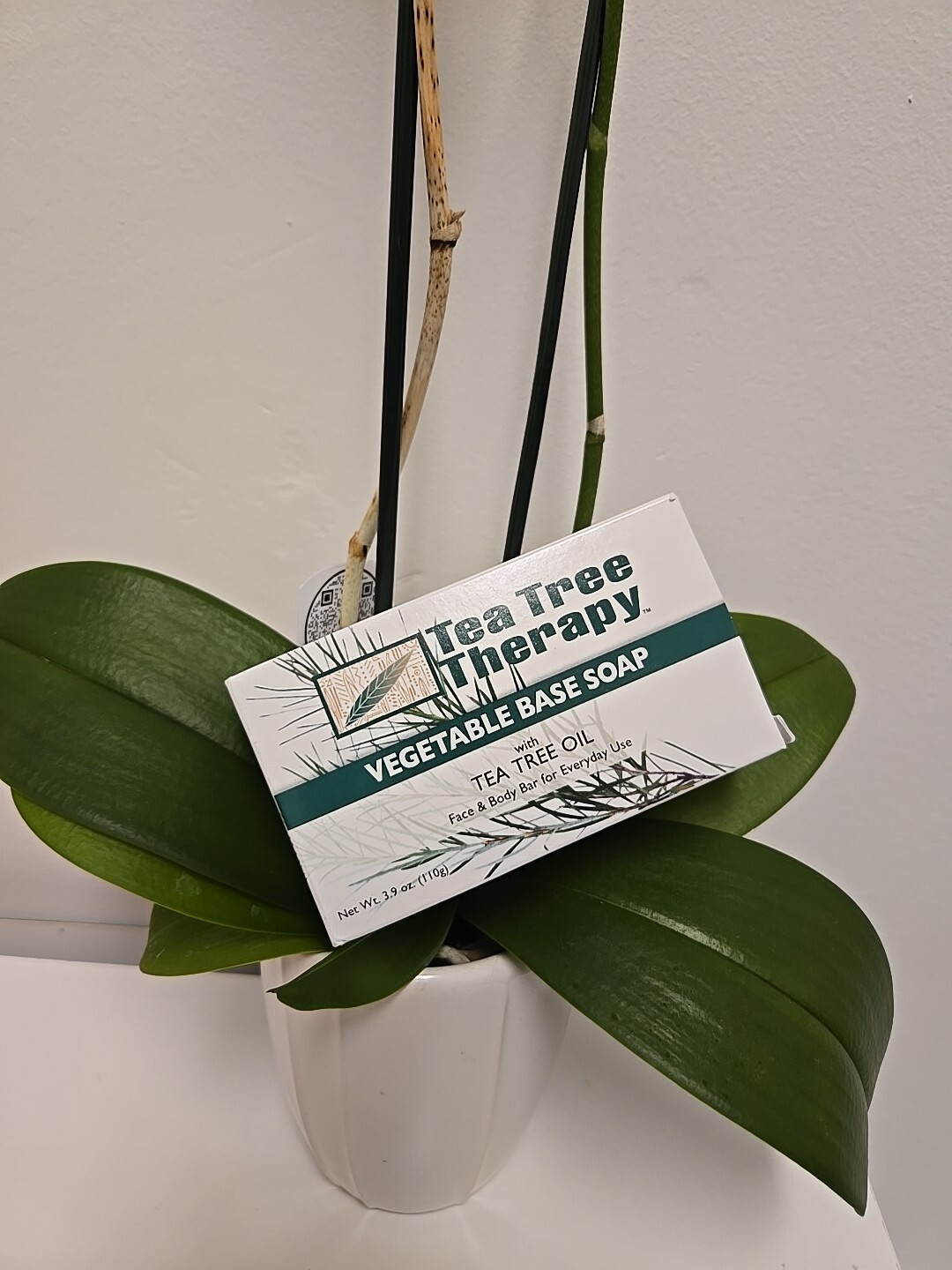 NEW Tea Tree Therapy Vegetable Base Soap with Oil Face Body Bar 3.9 Ounce