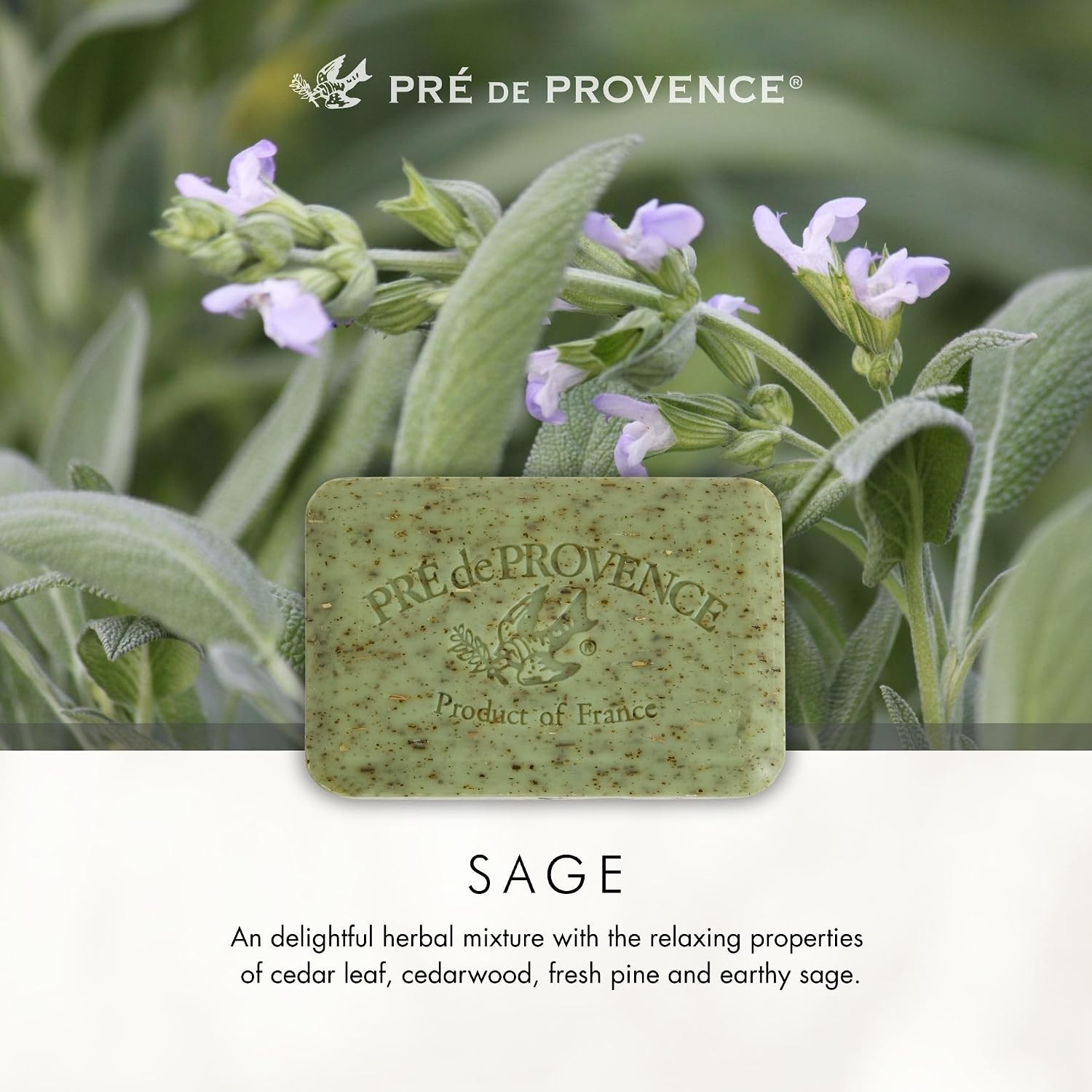 Aromatherapy Artisanal Soap Bar – Enriched with Shea Butter and Sage, 5.3 Oz