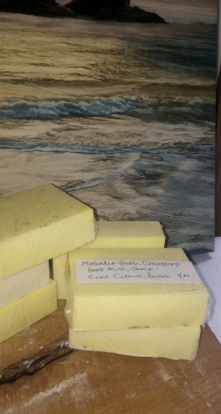 Goat Milk Soap Father’s Day Special Choose Scents 4/$9.95