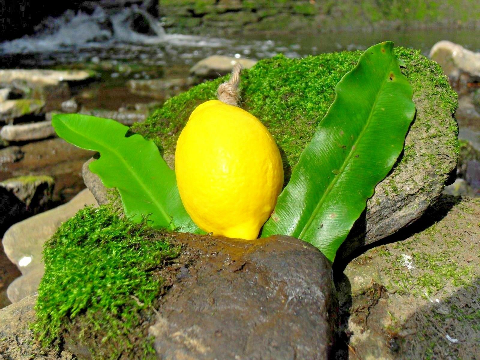 Soap Fruit & flower Shaped Scented Natural Thai Spa Gift Souvenir Keepsake