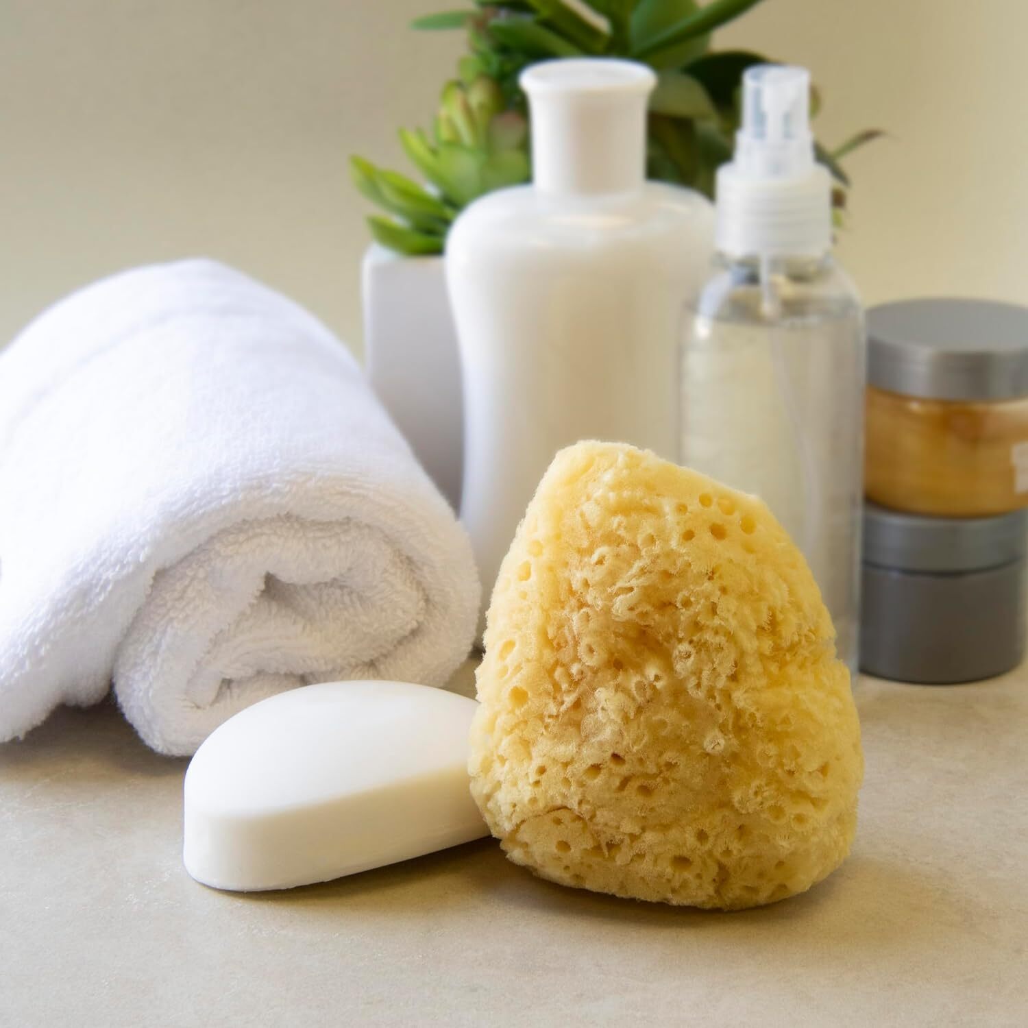 Natural Caribbean Sea Sponge – All Renewable (4 Yellow
