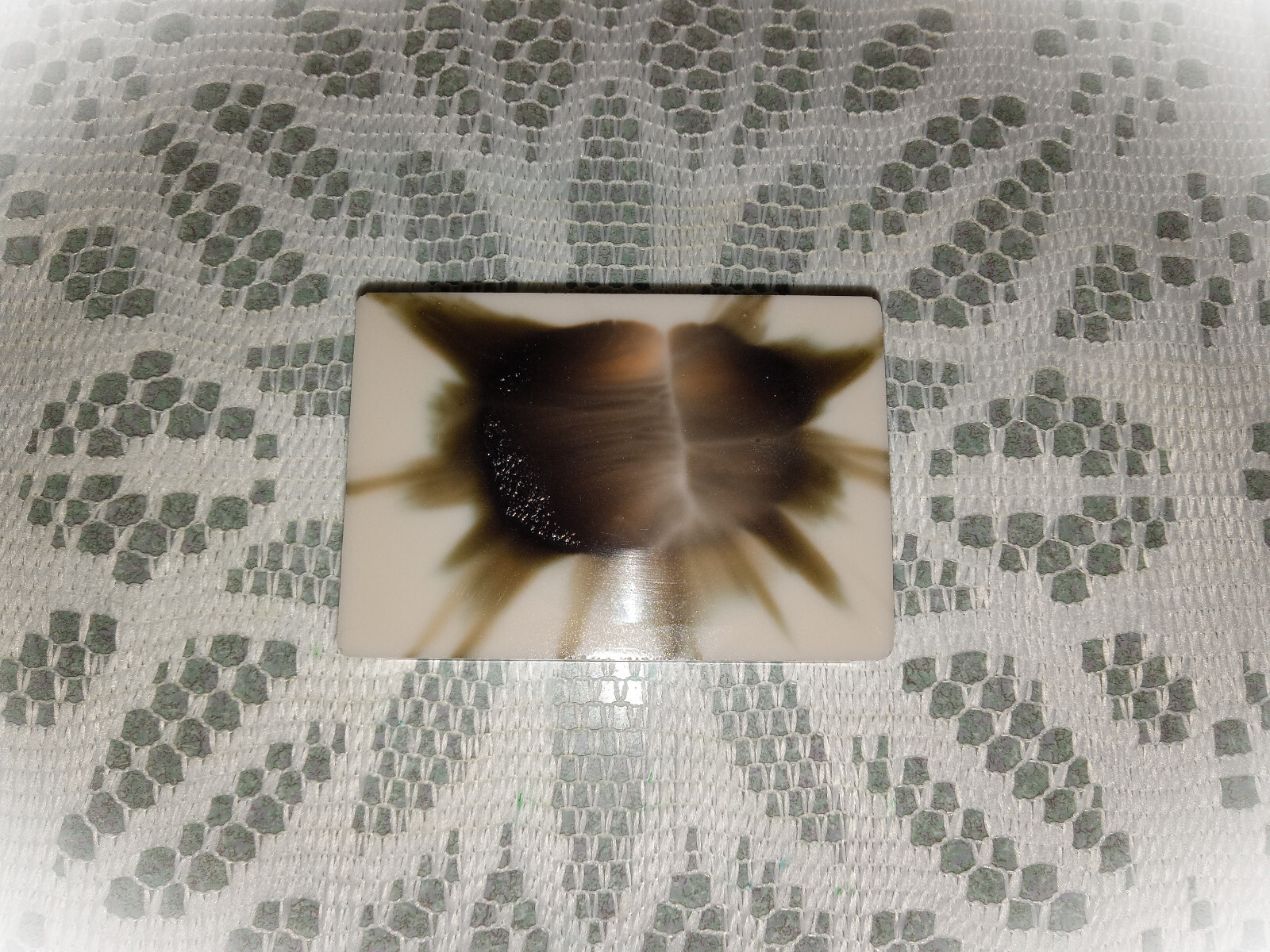 Goats Milk Bar Soap, choice of soap type, 3.5 oz, FREE shipping, 180+ scents