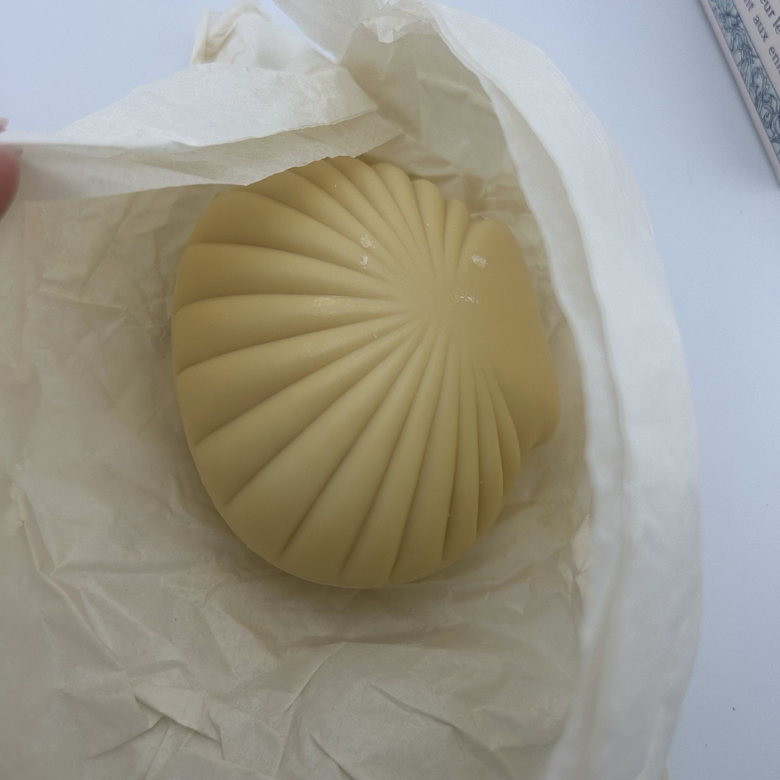 Jumbo New Vtg Crabtree & Evelyn Sea Shell Soap With Jojoba Oil 10.5 Oz Bar 300g