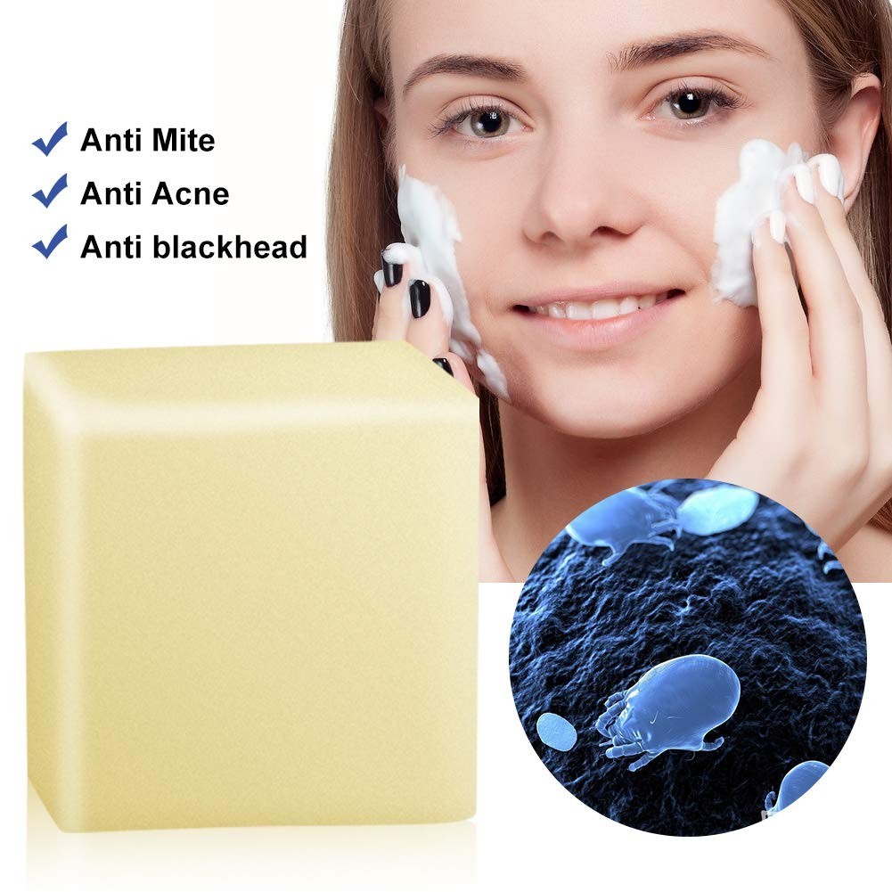 HOILIVERDE Sea Salt Goat Milk Soap Acne Treatment Face Body Scrub Cleanser 100g