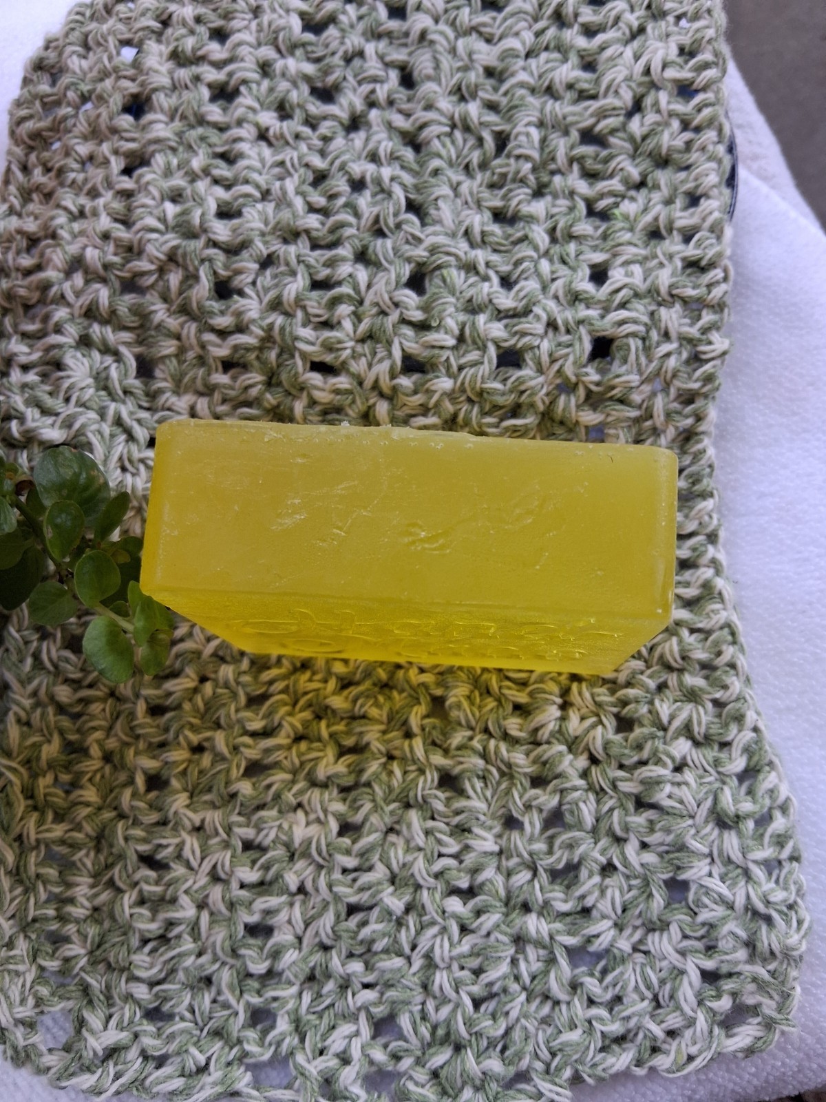 OLIVE OIL & ALOE VERA HANDMADE BODY SOAP SCENTED IN CACTUS BLOSSOM ESSENTIAL OIL