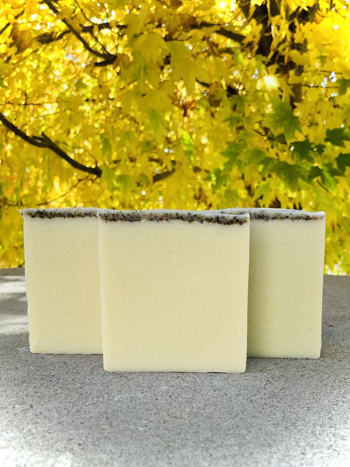 Lemon Sage Castile Soap | 100% Pure Olive Oil Soap Conditioning Bar