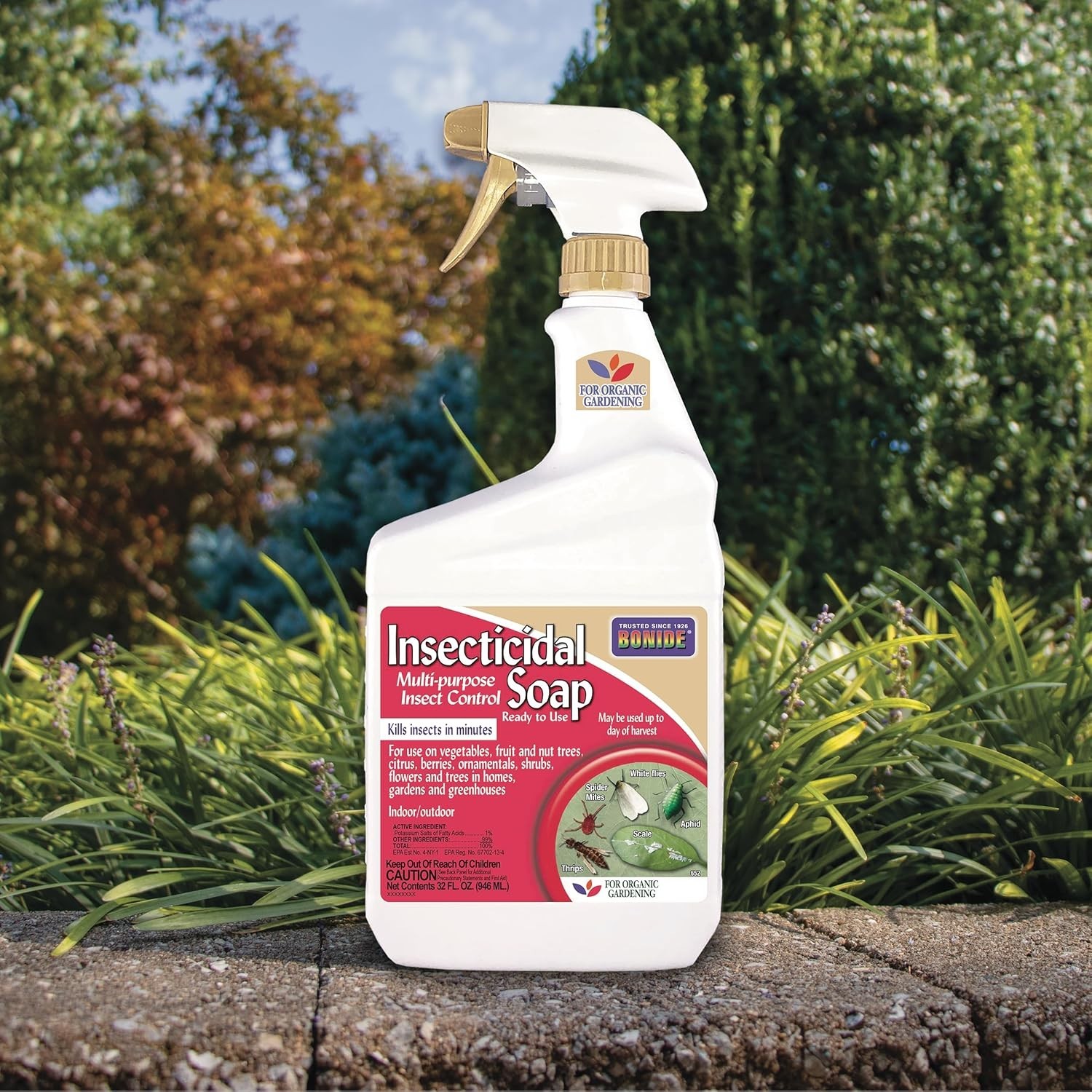 Captain Jack’s 32oz Organic Insect Soap Spray – Protect Your Plants Naturally!