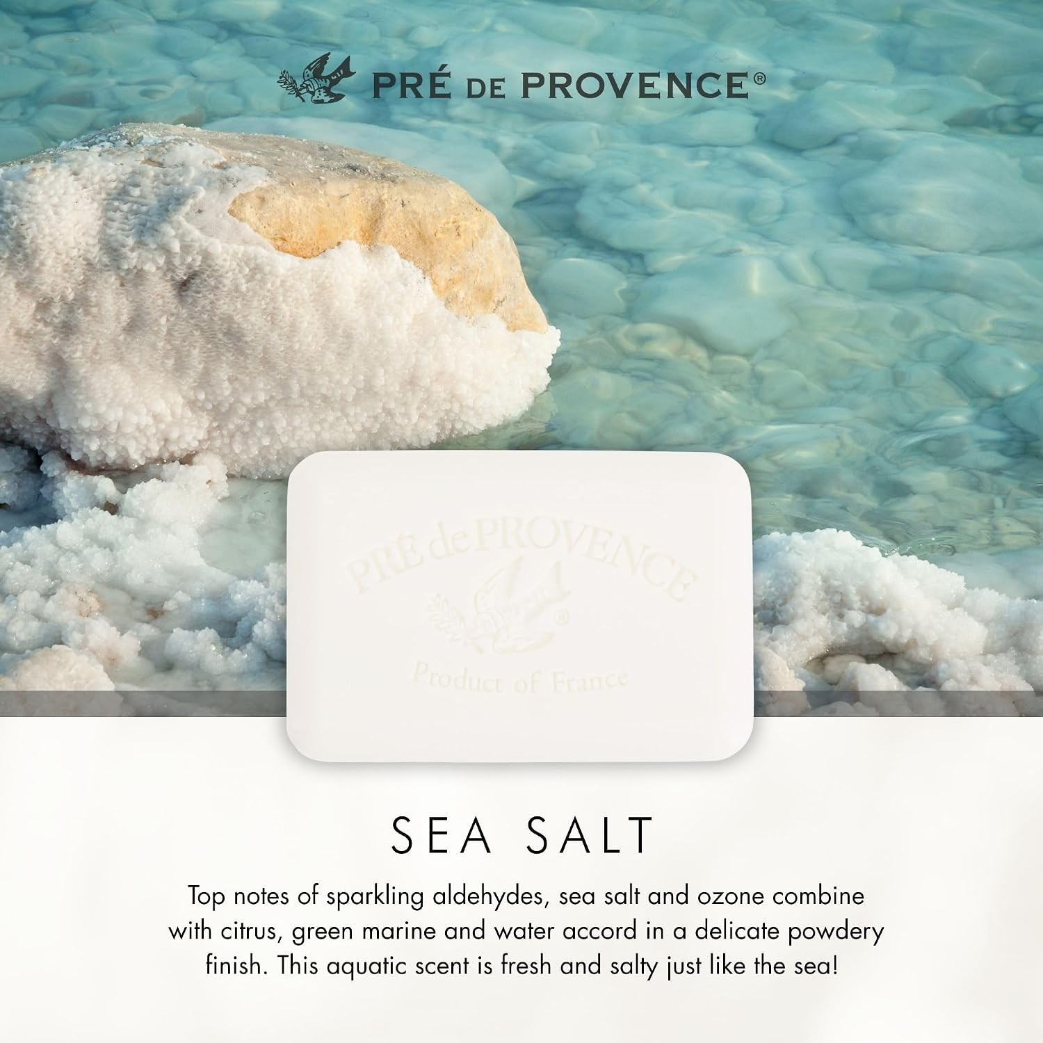 Natural French Soap Bar Enriched with Shea Butter, Luxe Sea Salt, 5.3 Ounces