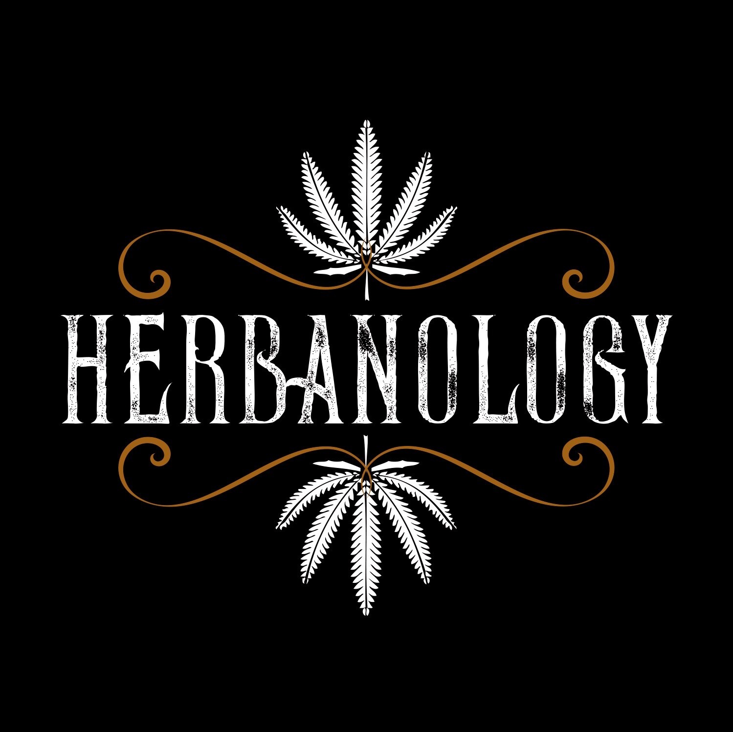Herbanology 2oz Pineapple Express Organic Liquid Castile All Purpose Soap