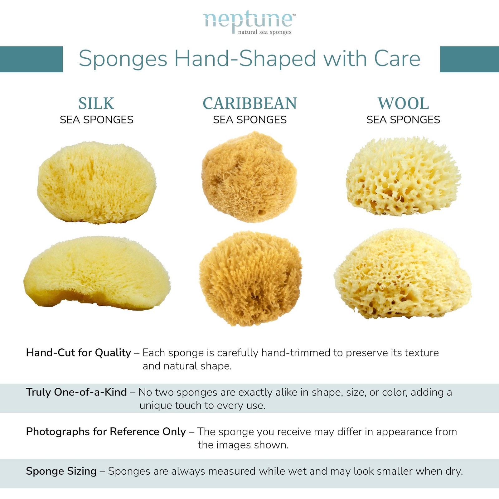 Neptune Caribbean Sea Sponge, Hand Cut, Medium, 1 Count (Pack of 1), Yellow