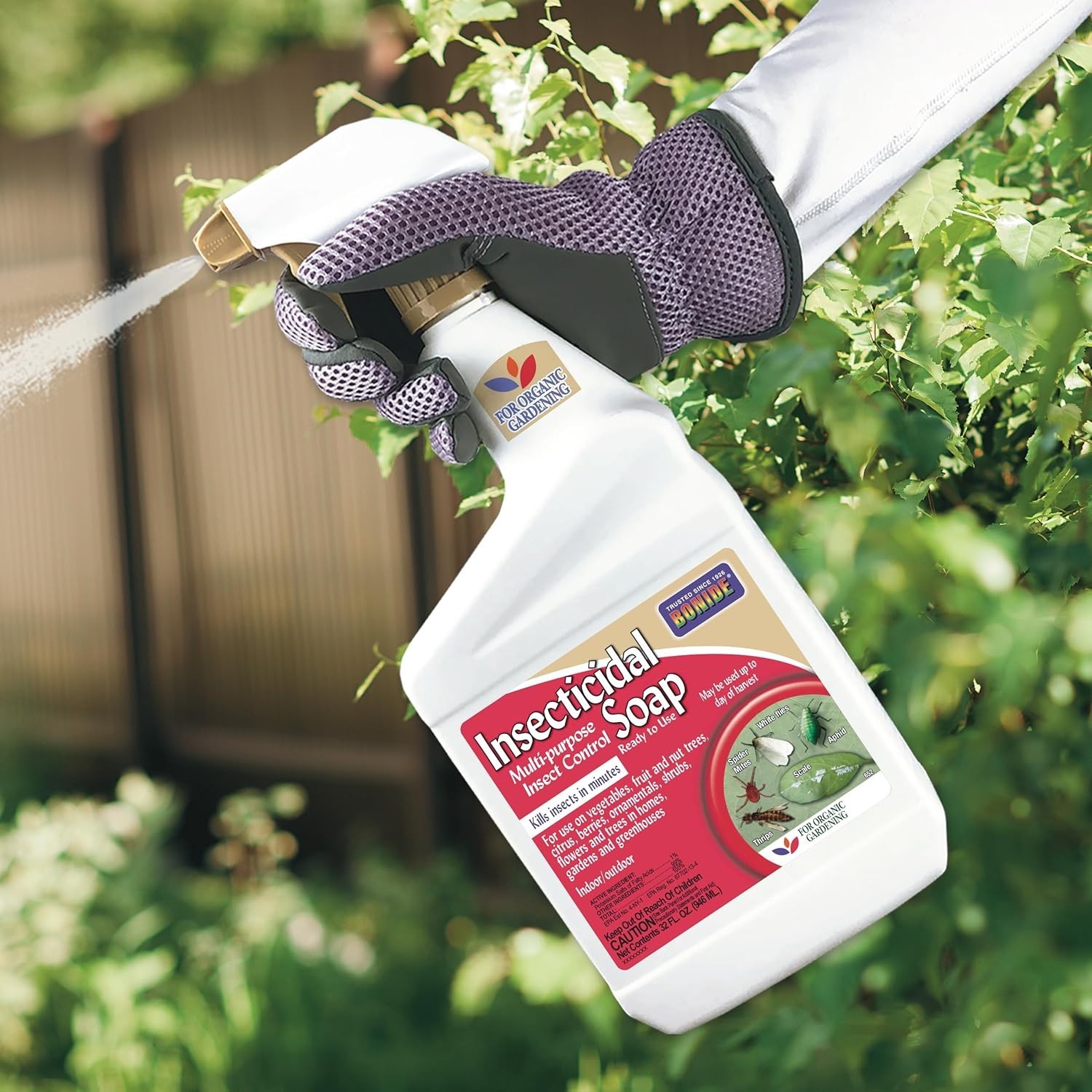 Captain Jack’s 32oz Organic Insect Soap Spray – Protect Your Plants Naturally!