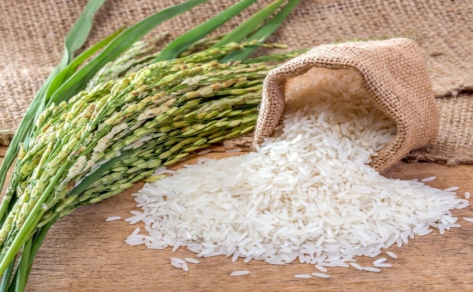BITTER MELON OR CERASEE SOAP (Asosi)-Oatmeal -Neem- Ginger & Parsley Acne soap