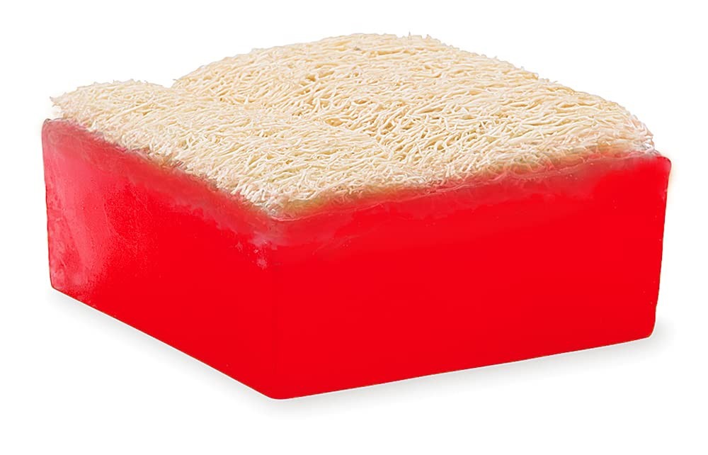 Watermelon Loofah Bar Soap, 5 Ounce