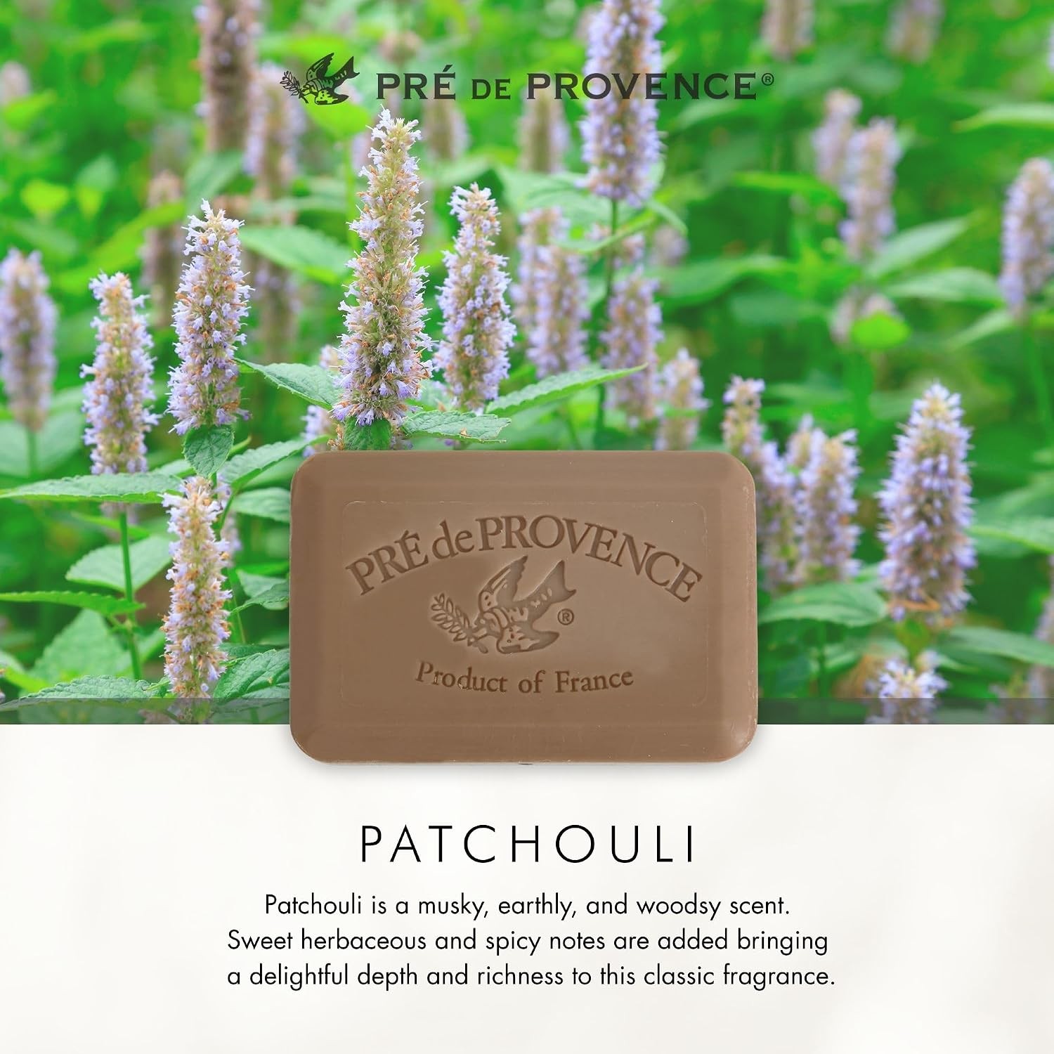 Artisanal Soap Bar Enriched with Organic Shea Butter Natural French Skincare