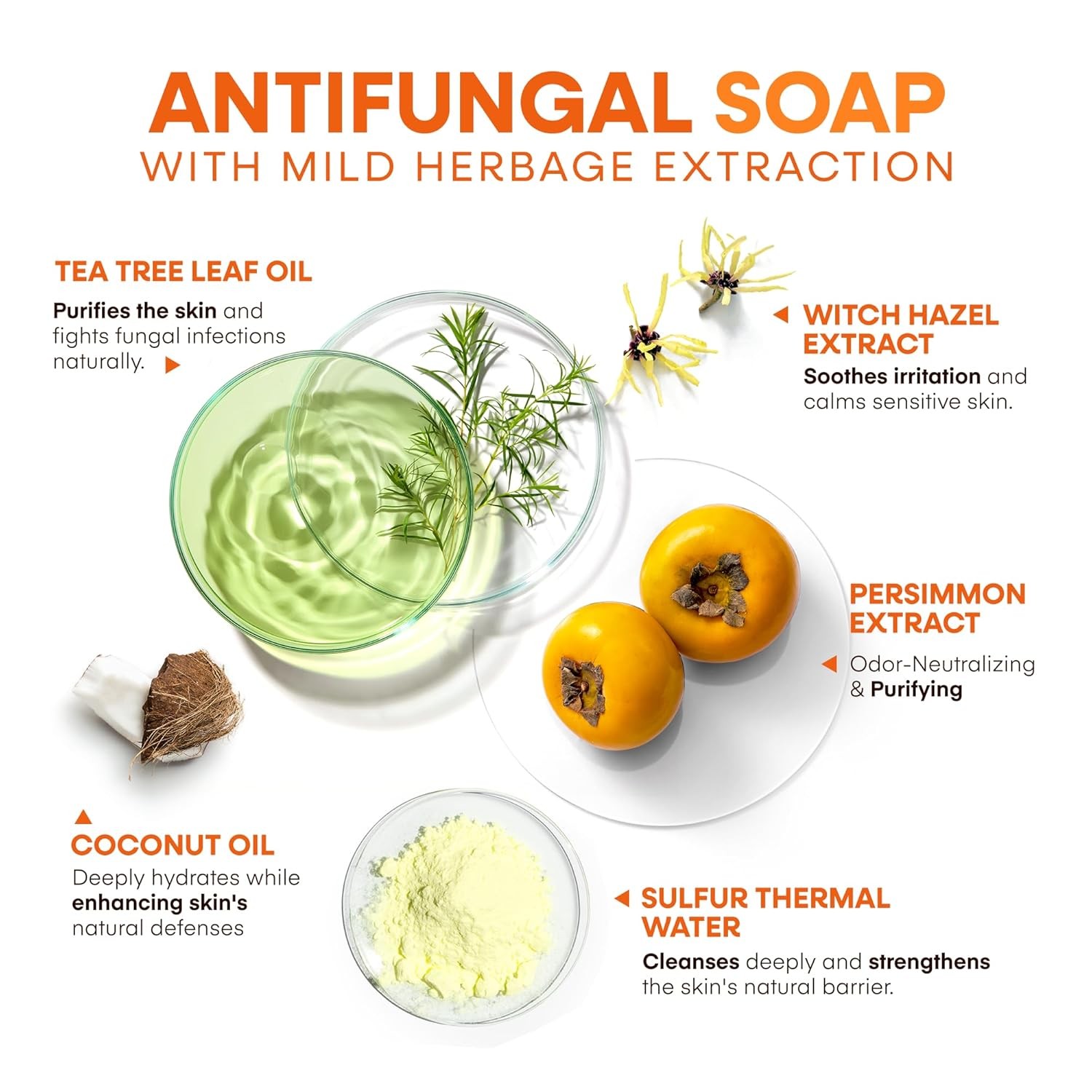 Hermon Antifungal Soap with Persimmon Extract: Antifungal Treatment for Ringw…