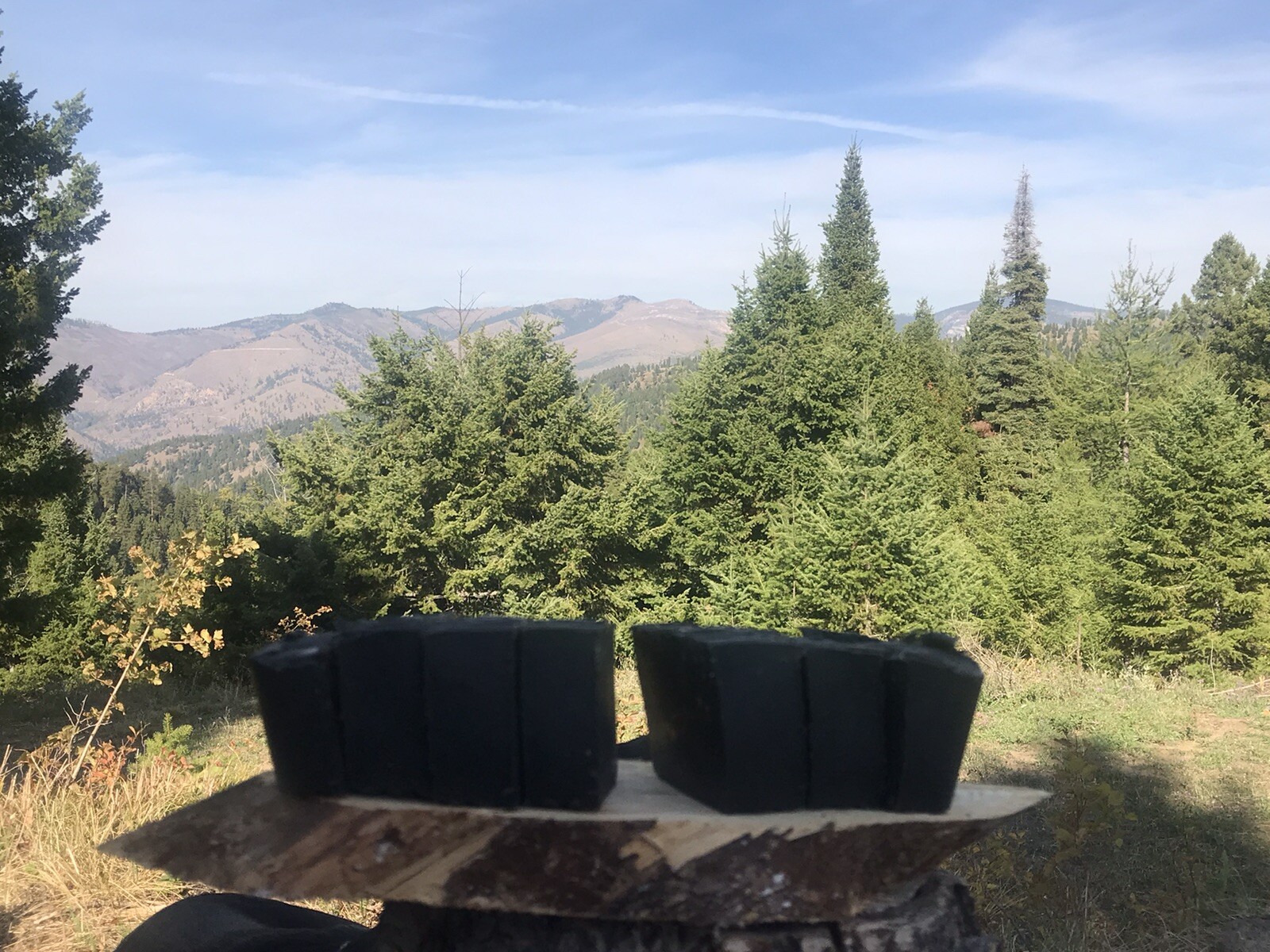 Pine Tar Charcoal Hunting Soap 7 Bars 2 Pounds A Loaf “Has Sand Pine Needles “